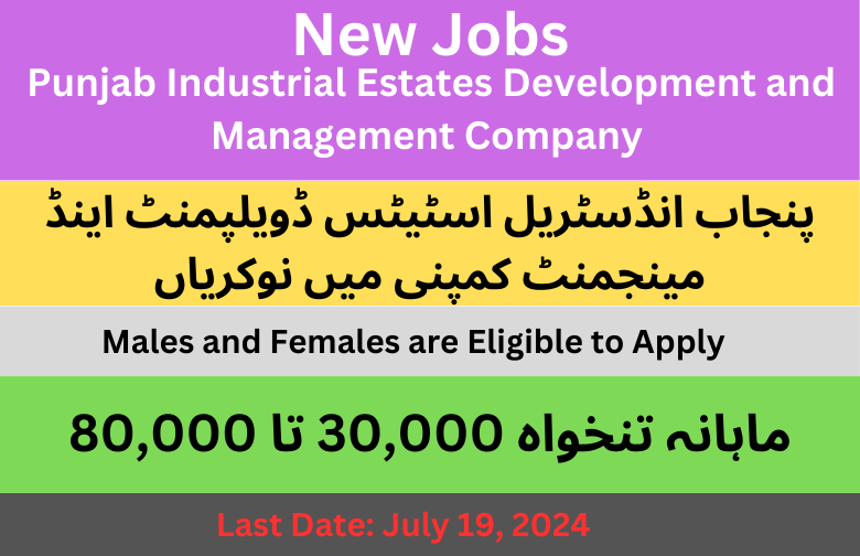 Punjab Industrial Estate Development and Management Company Jobs 2024 (2)